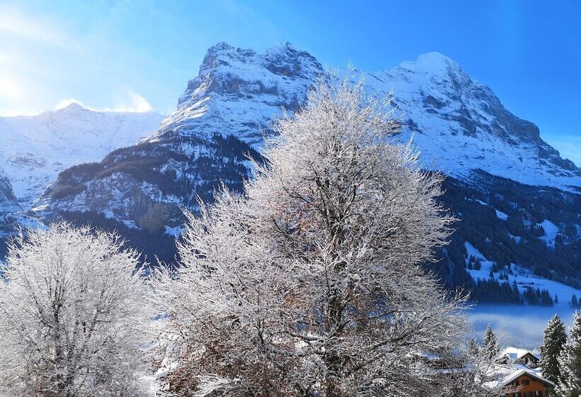 带山景的复式房间, Parkhotel Schoenegg