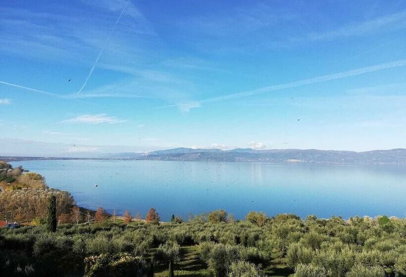 스탠다드 룸, Aganoor