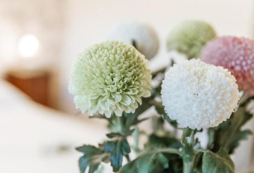 스탠다드 룸, Aganoor