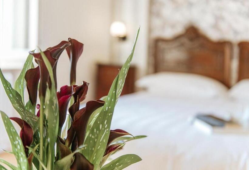 스탠다드 룸, Aganoor