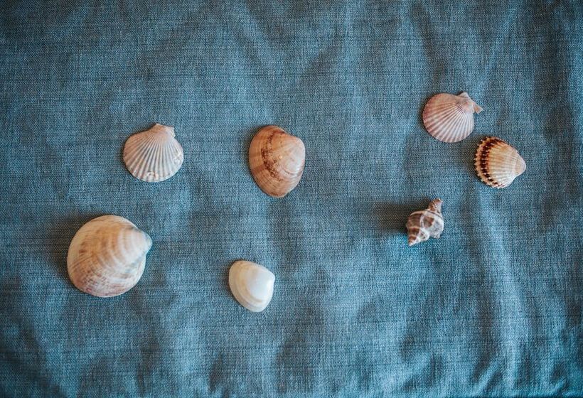 غرفة قياسية فردية, Argentina