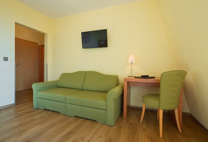 اتاق استاندارد سه نفره, Berghotel Kockelsberg