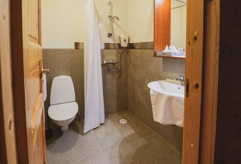 اتاق استاندارد, Framtid