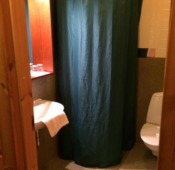 اتاق استاندارد, Framtid