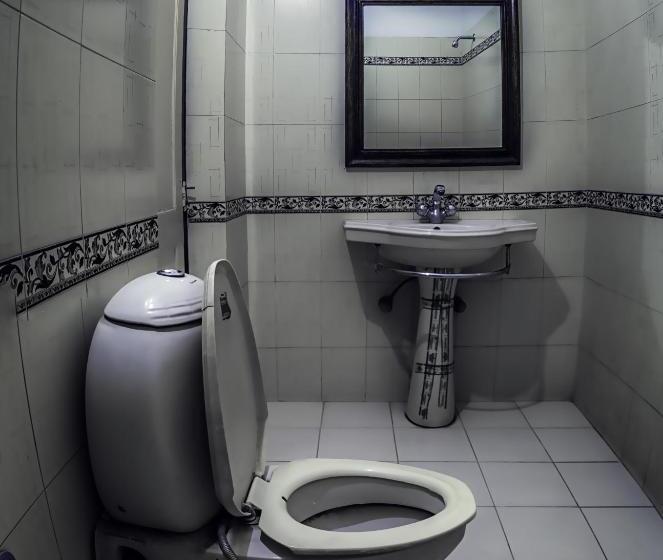 Chambre Triple Supérieure, Krishna Palace   A Heritage