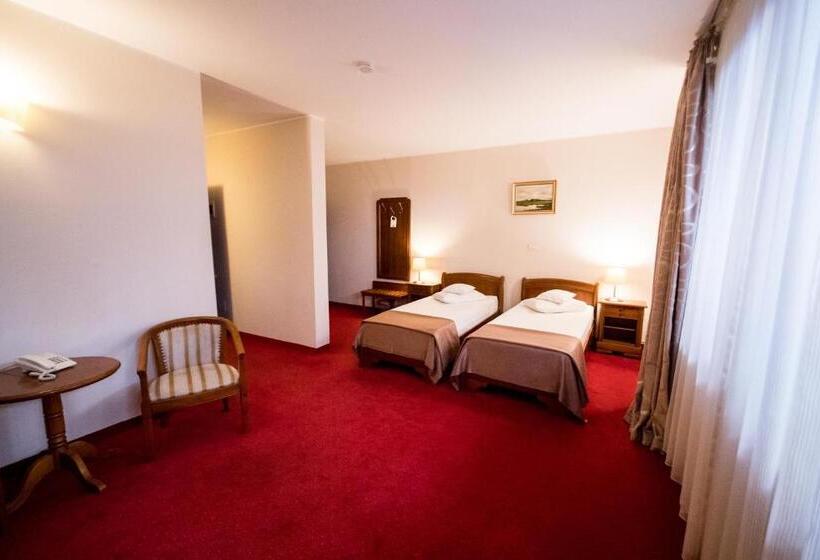 غرفة قياسية, Amadeus