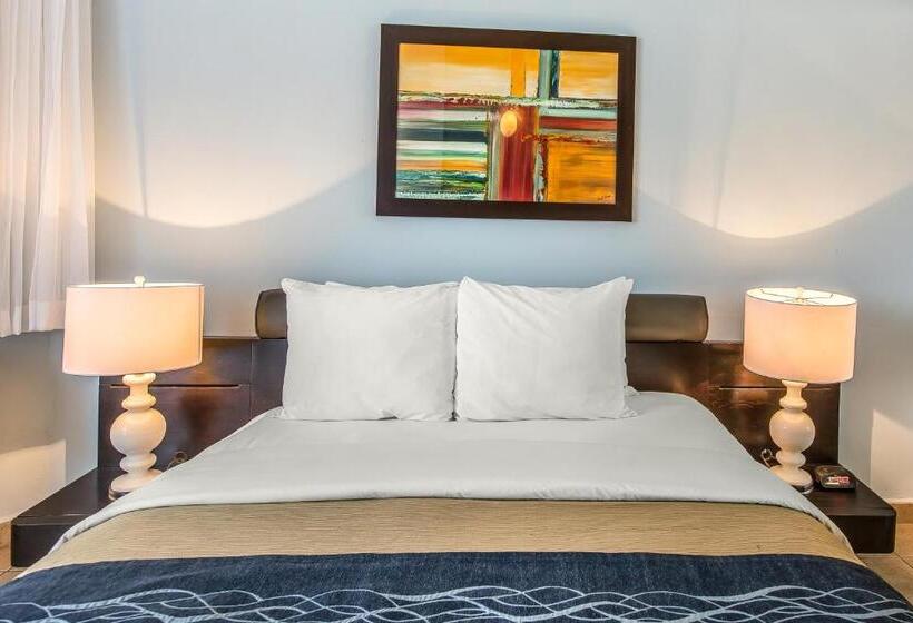 اتاق استاندارد با چشم‌انداز استخر, Comfort Inn & Suites