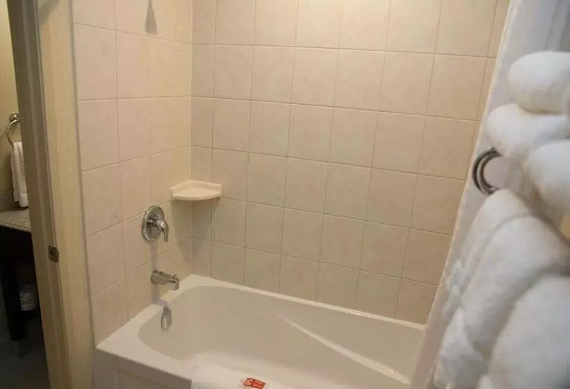 スタンダードルーム, Econo Lodge