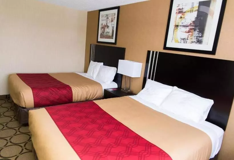 スタンダードルーム, Econo Lodge