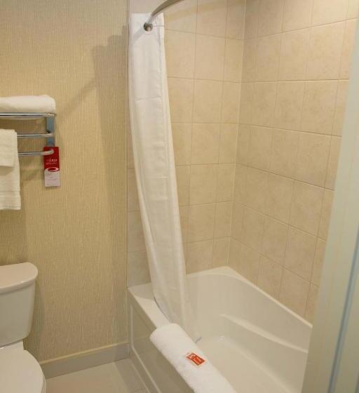 غرفة قياسية سرير كينج, Econo Lodge