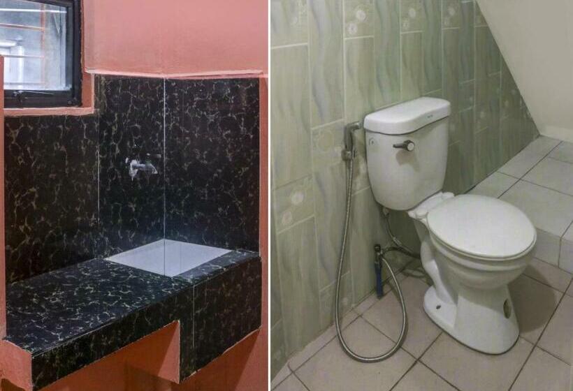 标准单人间, Solanos Transient House