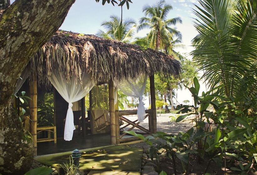 Quarto Deluxe, Clandestino Beach