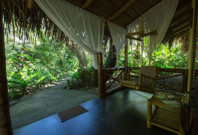 豪华房间, Clandestino Beach