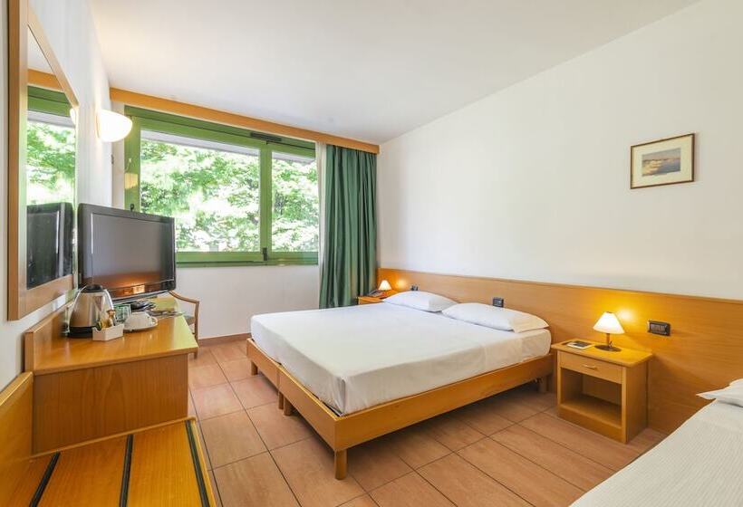 Номер Стандарт Трехместный, Park Hotel Abbadia