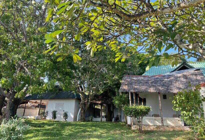 خانه 1 خوابه, Shimoni Reef Lodge