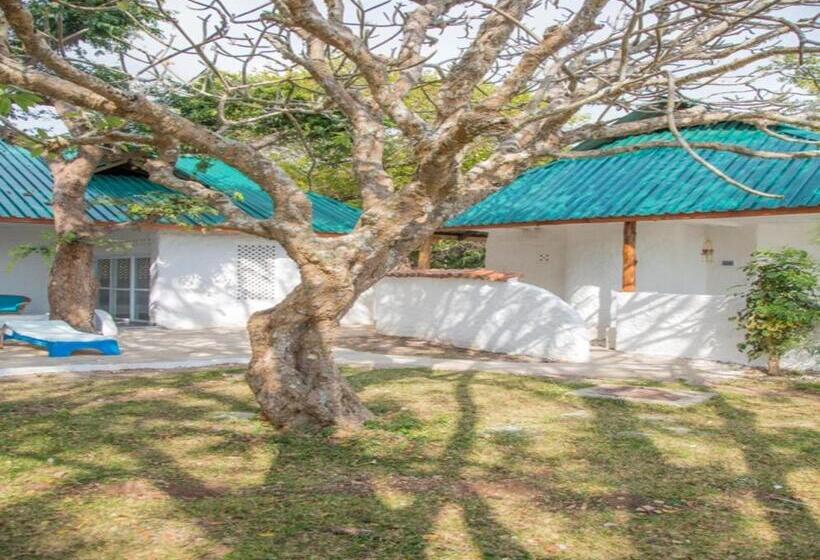 خانه 1 خوابه, Shimoni Reef Lodge