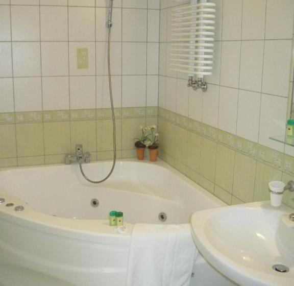 带1个卧室的公寓, Titanic