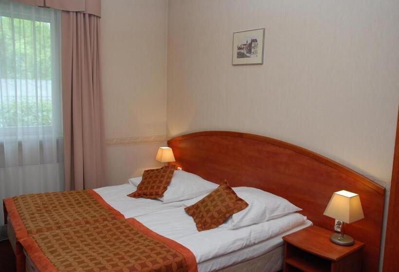 اتاق استاندارد, Topaz Poznań Centrum