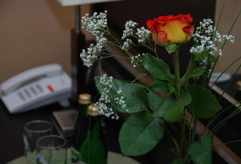 اتاق لوکس یک تخته, Topaz Poznań Centrum