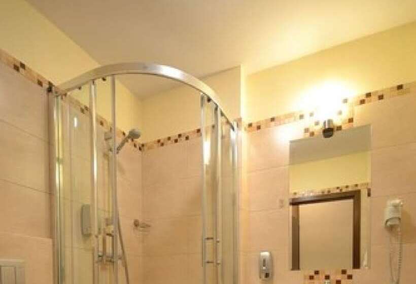 اتاق لوکس یک تخته, Topaz Poznań Centrum