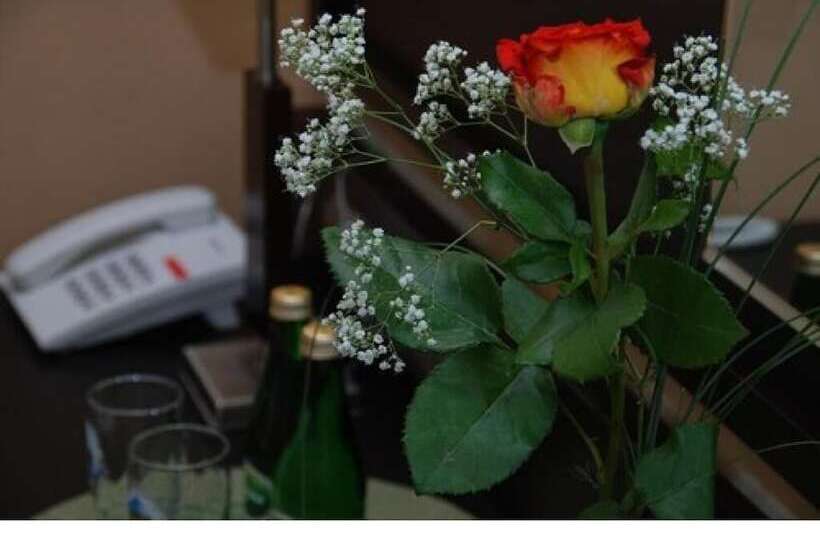 اتاق استاندارد یک نفره, Topaz Poznań Centrum