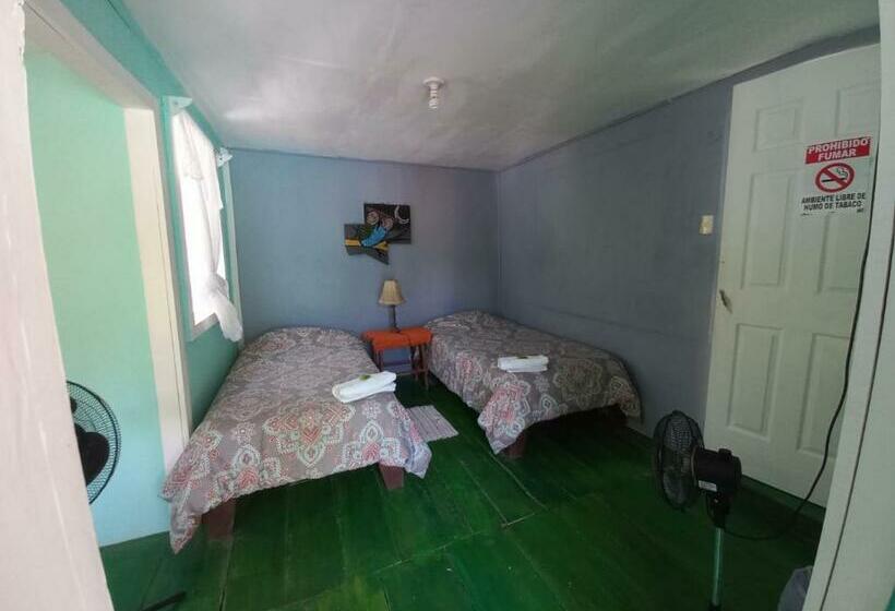 غرفة قياسية, Donde Familia Manito