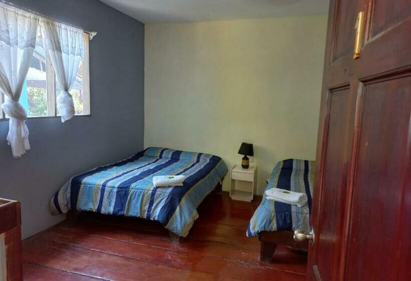 غرفة قياسية رباعية, Donde Familia Manito