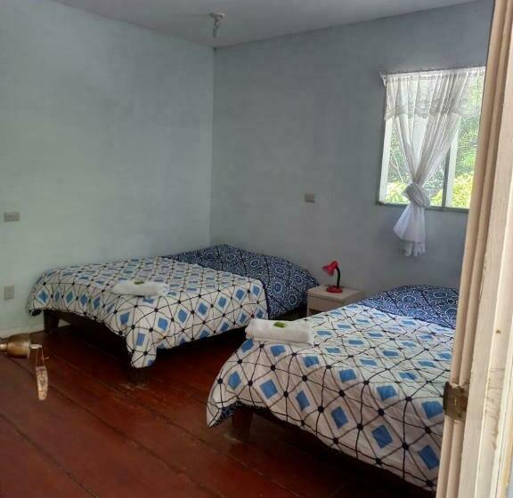 غرفة قياسية رباعية, Donde Familia Manito