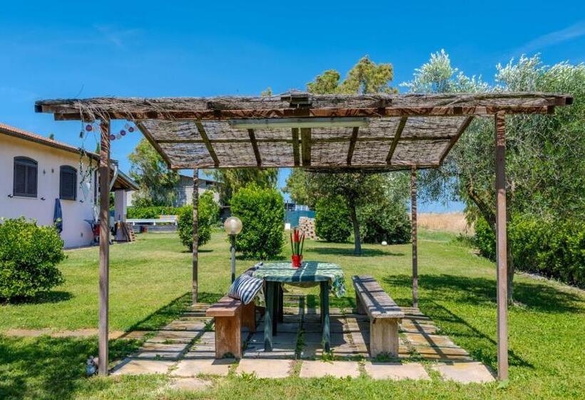 اتاق استاندارد, Girasole