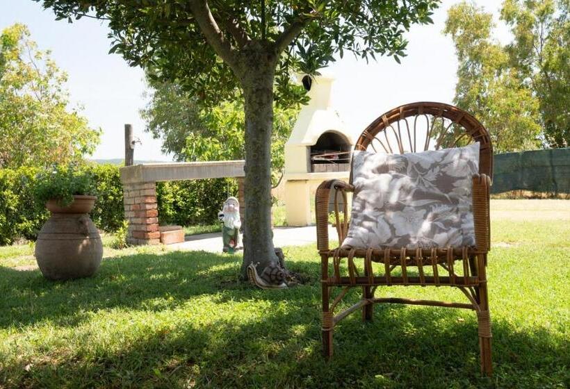 اتاق استاندارد, Girasole