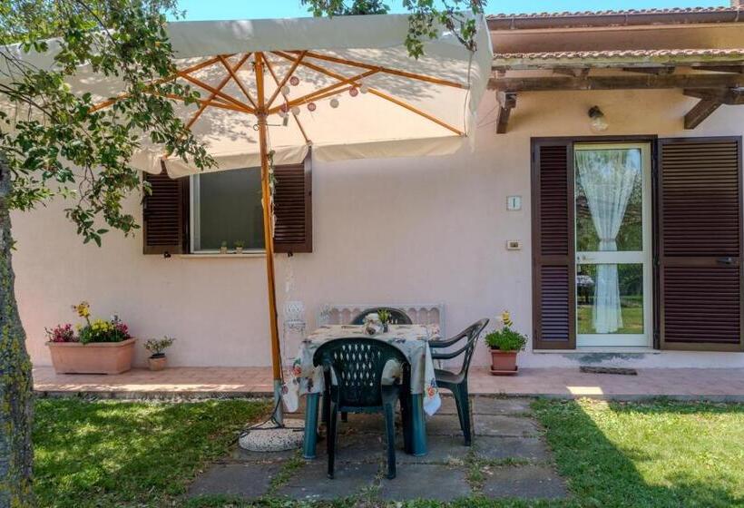 اتاق استاندارد, Girasole