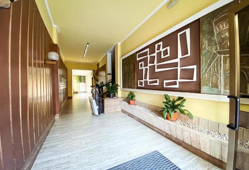 شقة غرفة واحدة, B&b Stella