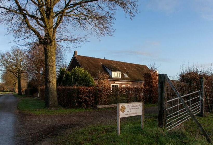 اتاق استاندارد با تراس, B&b De Hazelaardij