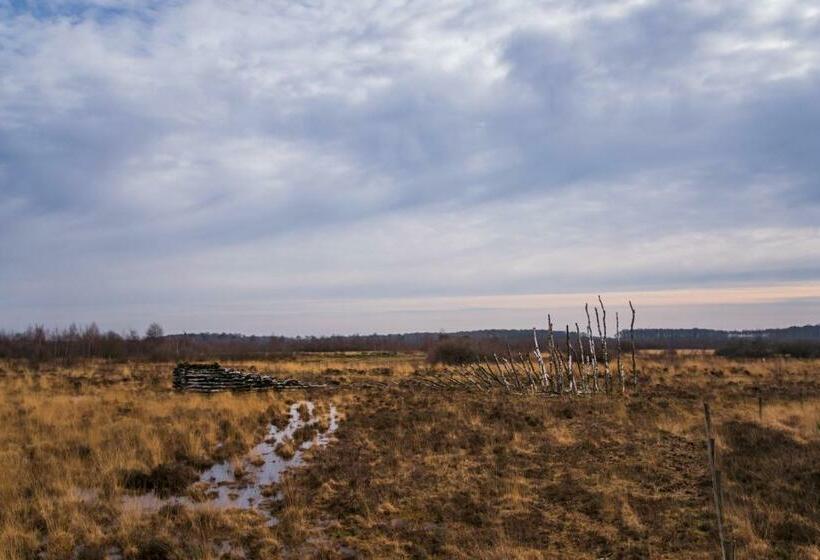 اتاق استاندارد با تراس, B&b De Hazelaardij