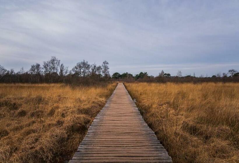 اتاق استاندارد با تراس, B&b De Hazelaardij