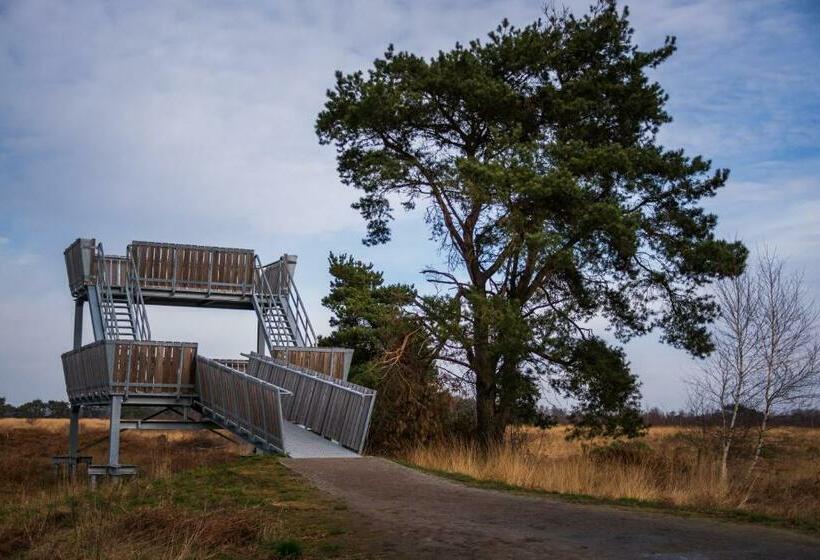 اتاق استاندارد با تراس, B&b De Hazelaardij