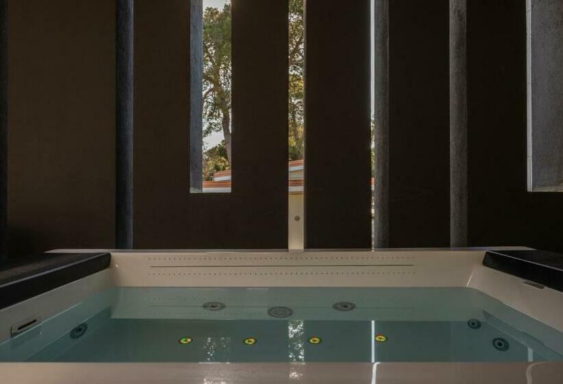 اتاق استاندارد با تخت بزرگ, Luxury B&b La Riserva Dannunziana