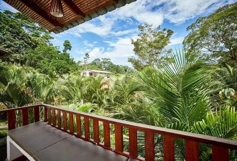 スタンダードルーム, Villa Lu Amazon Ecolodge