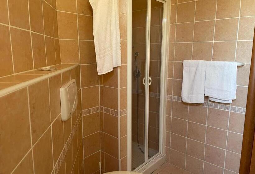 Номер Стандарт Трехместный, Park Jonio