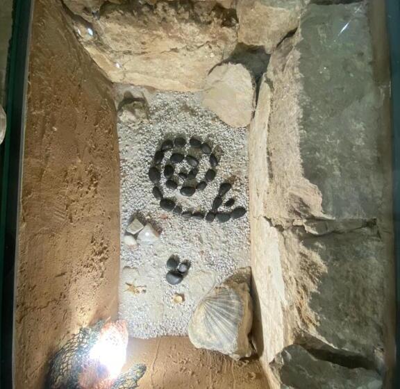 Escritório Deluxe, Lu Bàtil B&b   Rooms