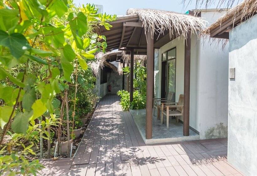 اتاق لوکس, Premier Beach