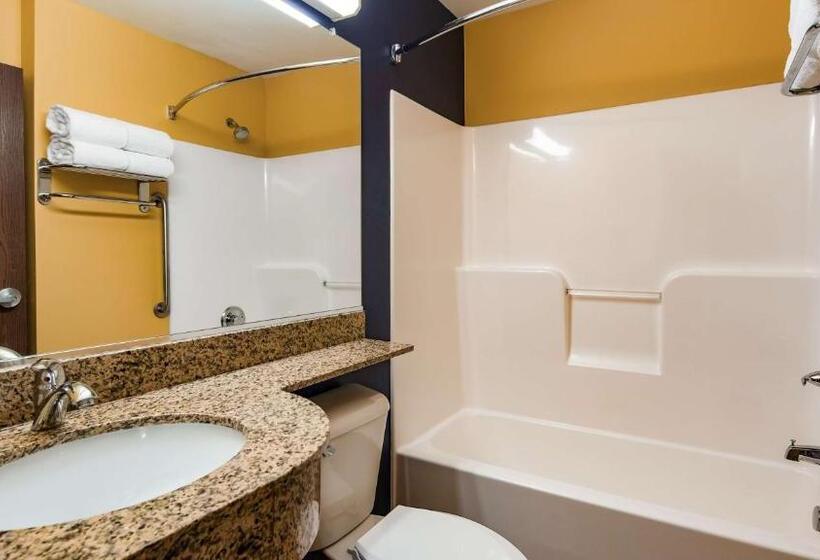 غرفة قياسية لذوى الاحتياجات الخاصة, Surestay Plus Hotel By Best Western Keyser