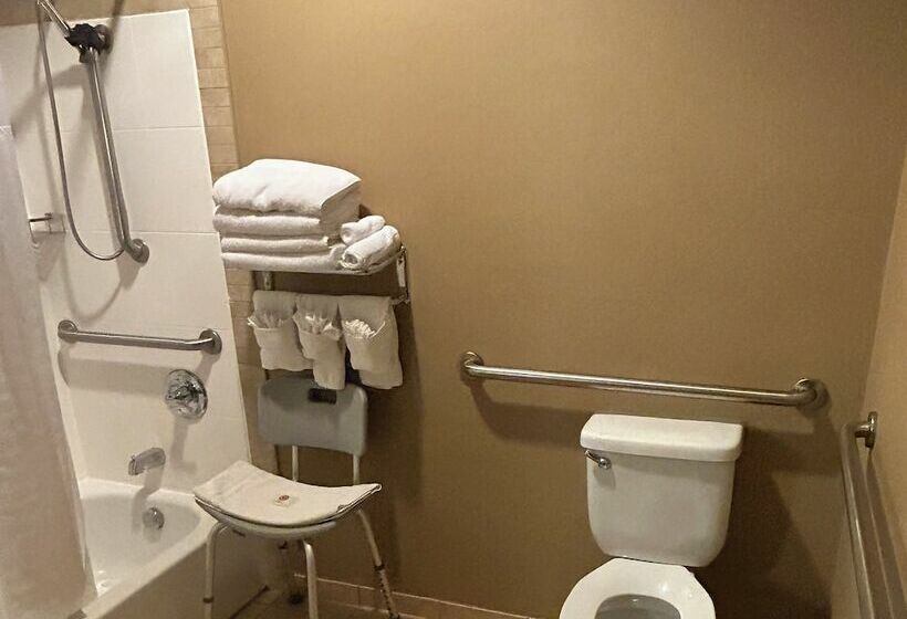 Люкс Адаптированный для Инвалидов, Comfort Suites