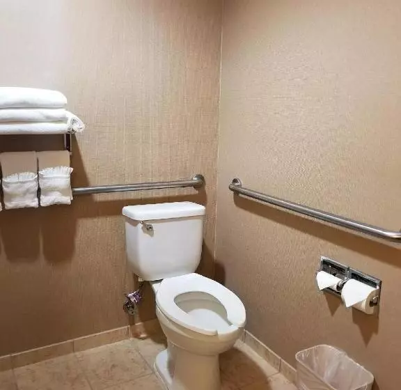 Sviitti Liikuntarajoitteisille, Comfort Suites