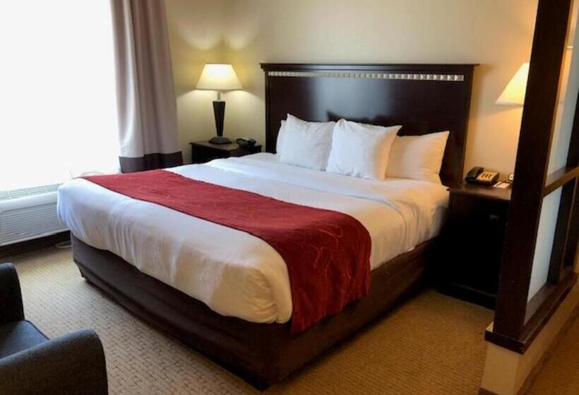 Люкс Адаптированный для Инвалидов, Comfort Suites