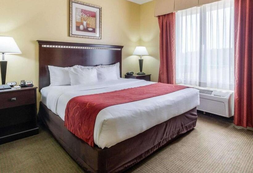 Suíte Cama King, Comfort Suites