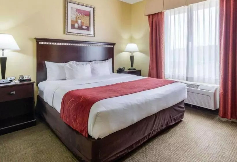 Sviitti King-vuode, Comfort Suites