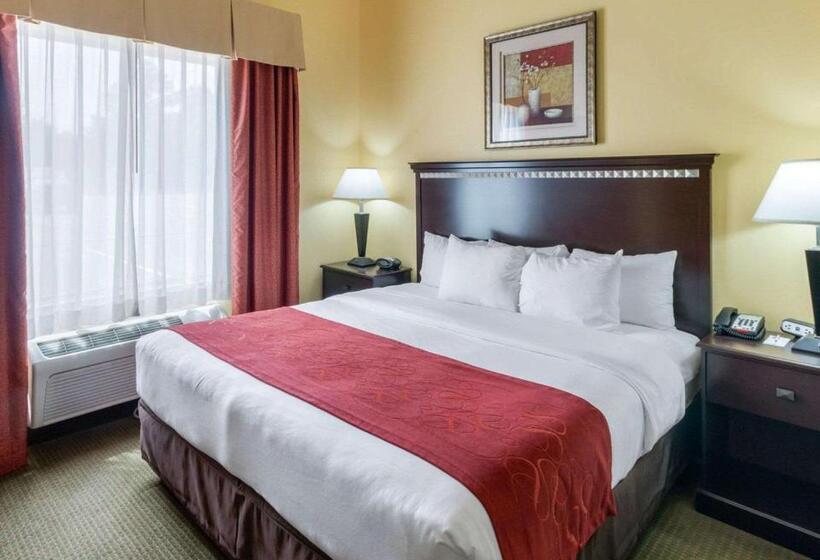 Люкс Кровать Кинг, Comfort Suites