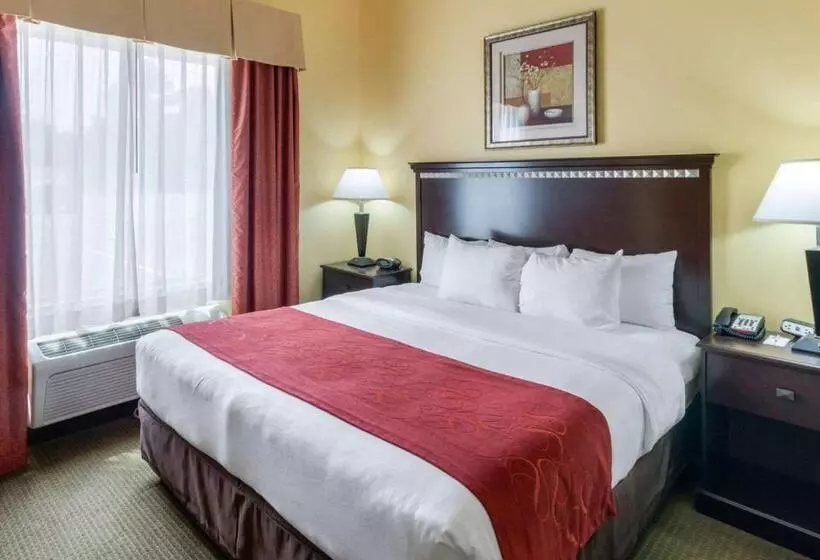 Sviitti King-vuode, Comfort Suites
