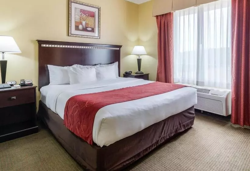 Sviitti King-vuode, Comfort Suites